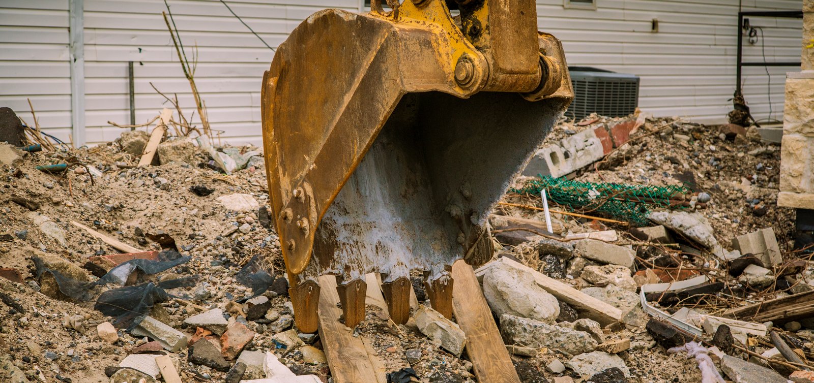 art-of-sandy-mo-seagate 2-35.jpg